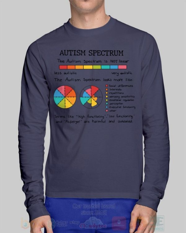 Autism Spectrum Hoodie