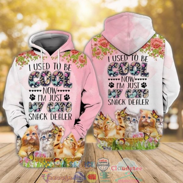 Cats I Used To Be Cool Now I Am Just My Cats Snack Dealer 3D Hoodie