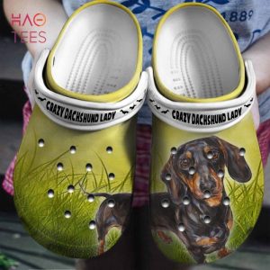 Crazy Dachshund Lady Clogs Shoes