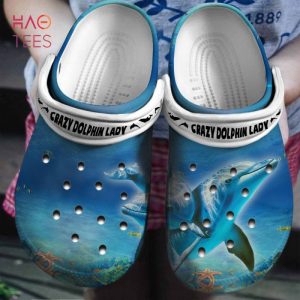 Crazy Dolphin Lady Clogs Shoes