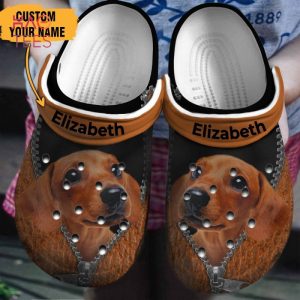 Dachshund Brown Zipper Clogs Shoes