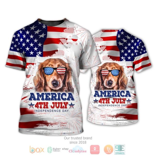 Dachshund Firework 4Th Of July Independence Day Shirt