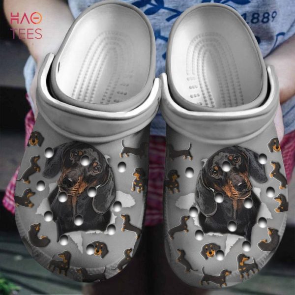 Dachshund Hole Clogs Shoes