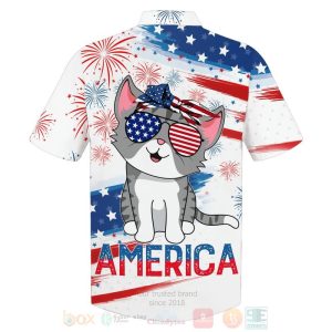 Flag Cat Cute Us Independence Day 3D Hoodie