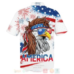 Flag Eagle Us Independence Day 3D Hoodie