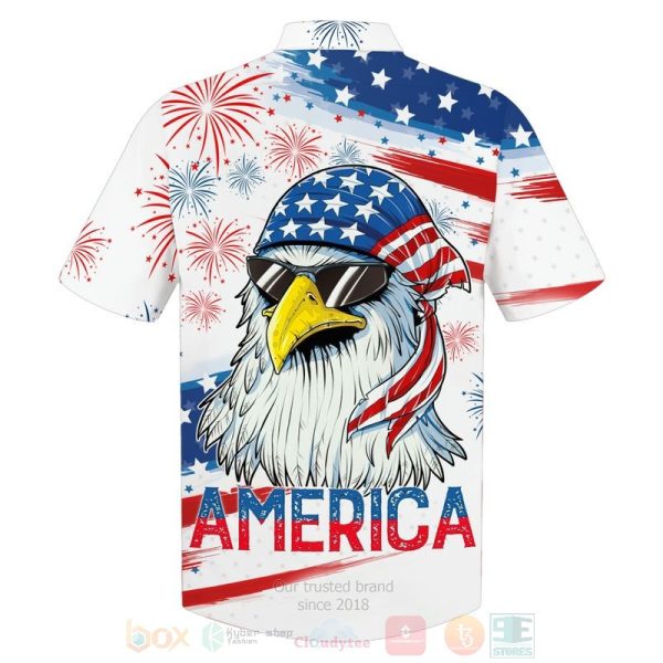 Flag Eagle Us Independence Day Firework 3D Hoodie