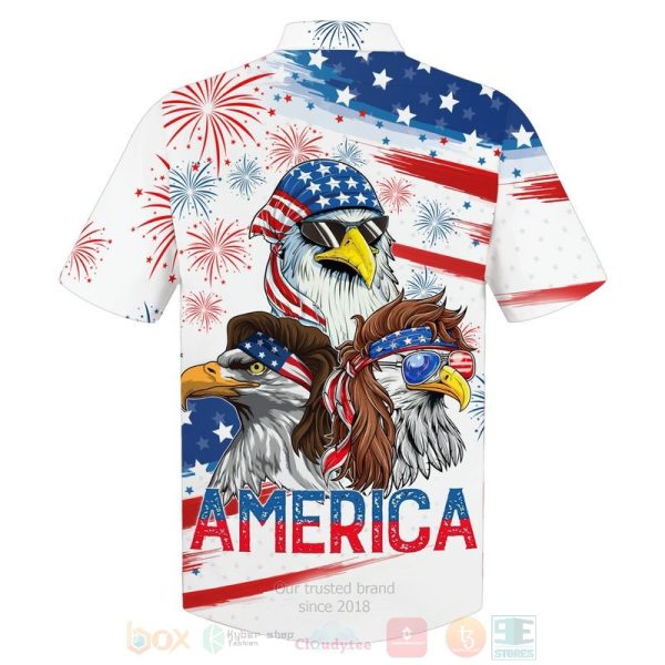 Flag Eagles Us Independence Day 3D Hoodie