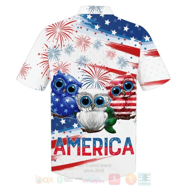 Flag Owl Us Independence Day 3D Hoodie