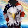 Usa Flag Eagle 3D Zip Hoodie